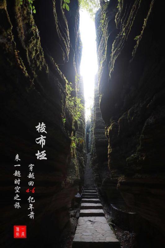 种母羊可以用几年-关于种母羊可以用几年的讨论社区